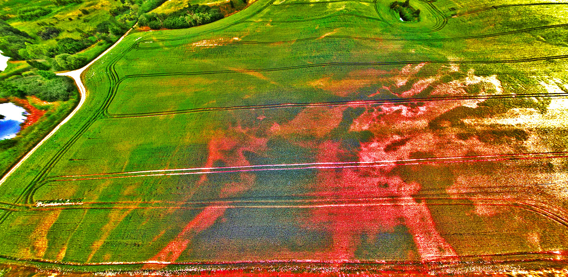 Dipl.-Ing. Anja Junge, Öffentlich bestellte Vermessungsingenieurin im Land Brandenburg Dipl.-Ing. Anja Junge, Öffentlich bestellte Vermessungsingenieurin im Land Brandenburg